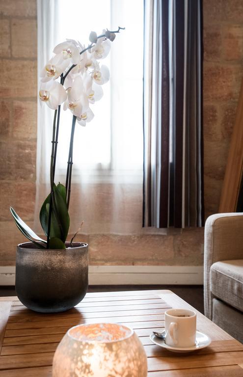 Demeure Des Girondins Apartment Saint-Émilion Екстериор снимка